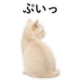 853296736