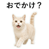 853296741