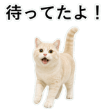 853296752