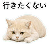 853296754