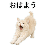 853296756