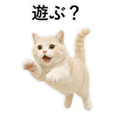 853296761