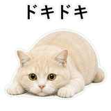 853296762