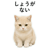 853296765