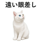 853296812