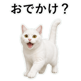 853296821