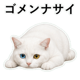 853296822