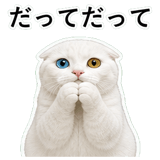853296823