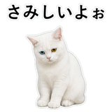 853296829
