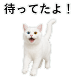 853296832