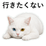 853296834