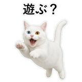 853296841
