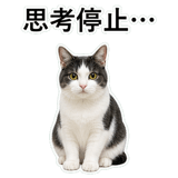 853296978
