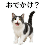 853296989