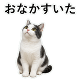 853296999