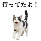 853297000