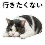 853297002