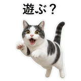 853297009