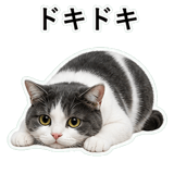 853297010