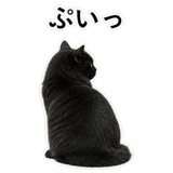 853297024