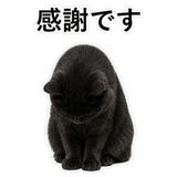 853297027