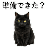853297028