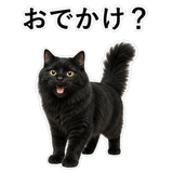 853297029