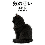 853297051