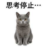853297138