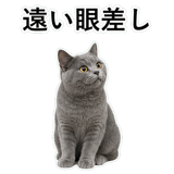 853297140