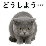 853297143