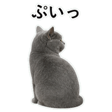 853297144