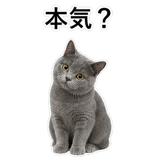 853297145