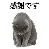 853297147