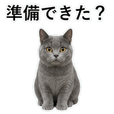 853297148