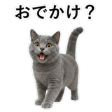 853297149