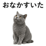 853297159