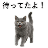 853297160