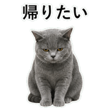 853297161