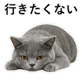 853297162