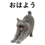 853297164