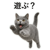 853297169