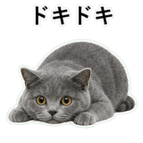 853297170