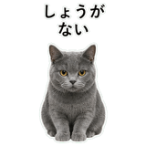 853297173