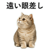 853297268