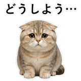 853297271