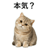 853297273