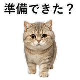 853297276