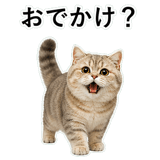853297277