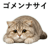 853297278